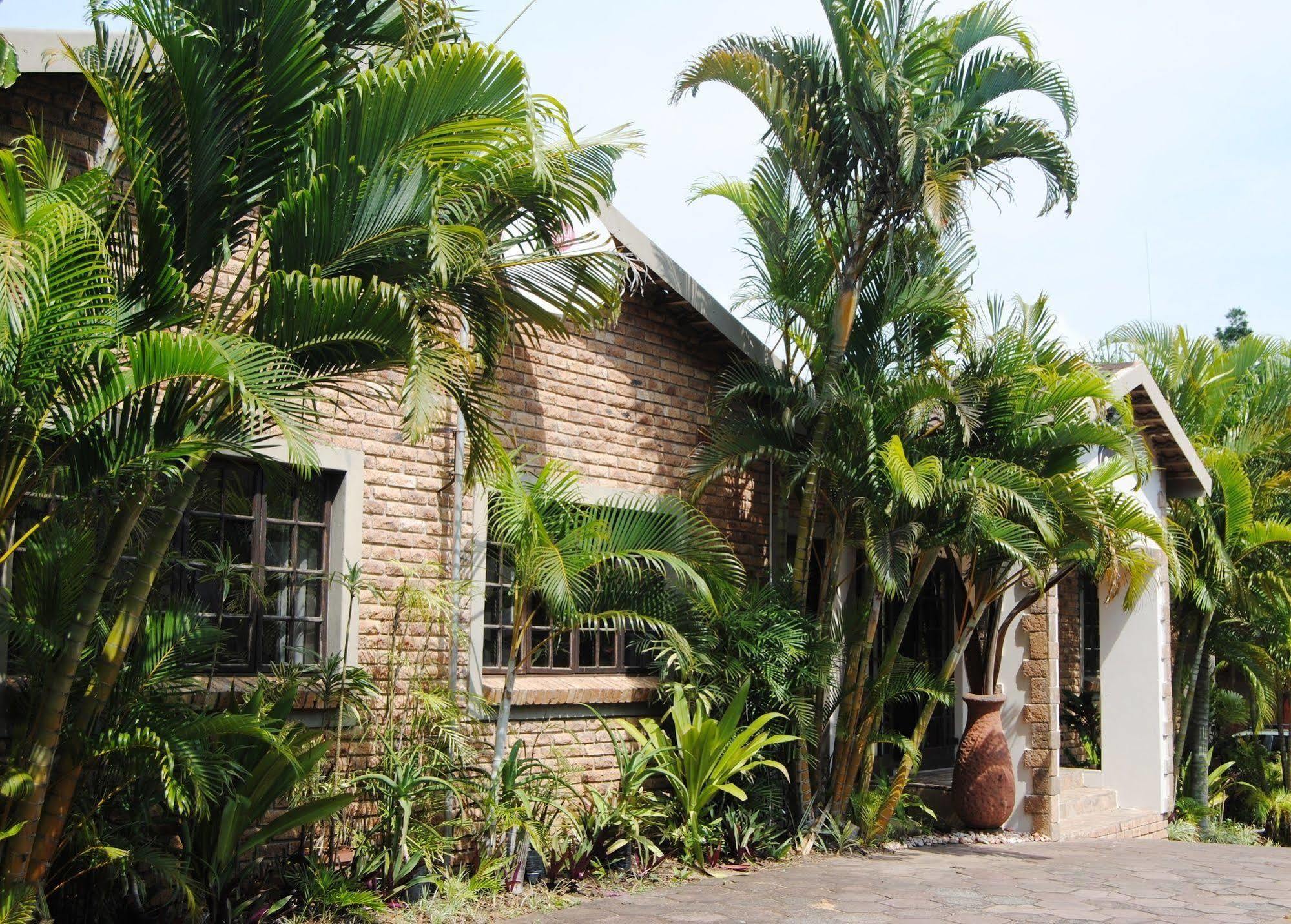 African Dreamz Guest House Saint Lucia Estuary Kültér fotó